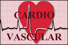 Herz-/Kreislauf (Cardio) Zirkulations-System